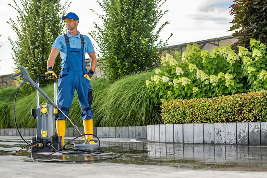 Profesjonalna pielęgnacja zieleni